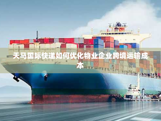 天马国际快递如何优化物业企业跨境运输成本 天马国际快递如何优化物业企业跨境运输成本
