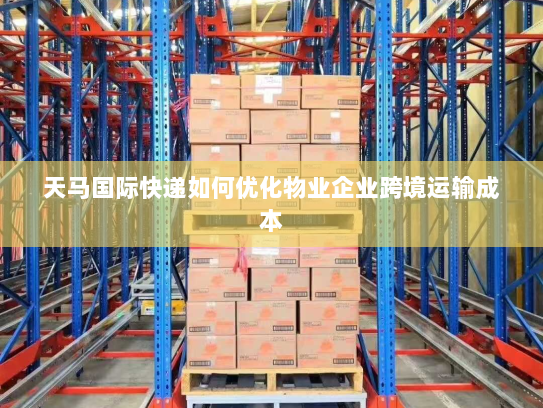 天马国际快递如何优化物业企业跨境运输成本