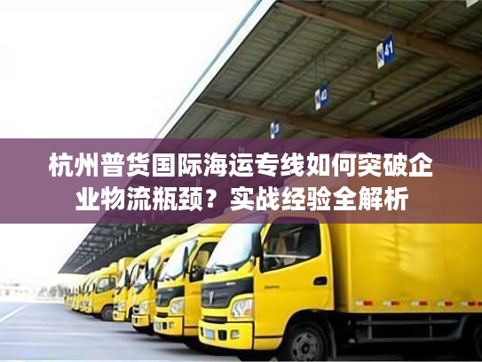 杭州普货国际海运专线如何突破企业物流瓶颈？实战经验全解析