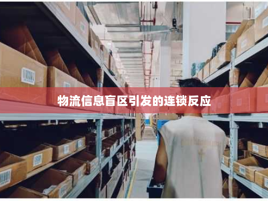 物流信息盲区引发的连锁反应 物流信息盲区引发的连锁反应