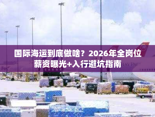 国际海运到底做啥？2026年全岗位薪资曝光+入行避坑指南