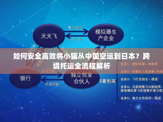 如何安全高效将小猫从中国空运到日本?跨境托运全流程解析 如何安全高效将小猫从中国空运到日本?跨境托运全流程解析