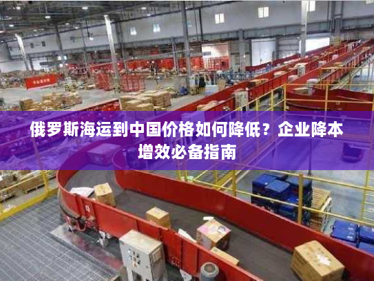 俄罗斯海运到中国价格如何降低？企业降本增效必备指南