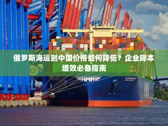 俄罗斯海运到中国价格如何降低？企业降本增效必备指南