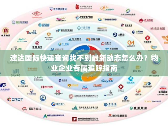 速达国际快递查询找不到最新动态怎么办？物业企业专属追踪指南