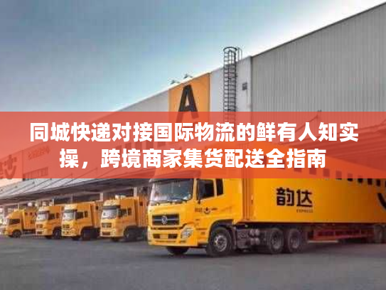 同城快递对接国际物流的鲜有人知实操，跨境商家集货配送全指南