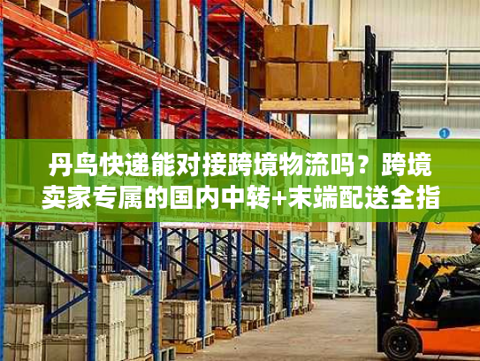 丹鸟快递能对接跨境物流吗？跨境卖家专属的国内中转+末端配送全指南
