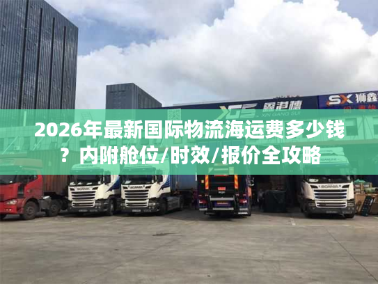 2026年最新国际物流海运费多少钱？内附舱位/时效/报价全攻略