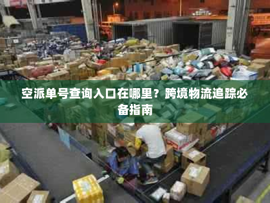 空派单号查询入口在哪里?跨境物流追踪必备指南 空派单号查询入口在哪里?跨境物流追踪必备指南