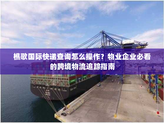 樵歌国际快递查询怎么操作？物业企业必看的跨境物流追踪指南