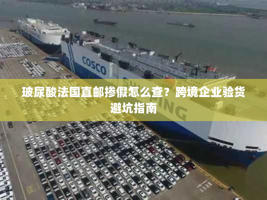 玻尿酸法国直邮掺假怎么查?跨境企业验货避坑指南 玻尿酸法国直邮掺假怎么查?跨境企业验货避坑指南