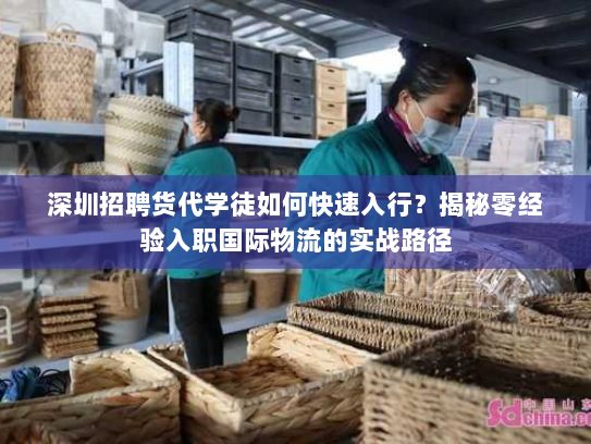 深圳招聘货代学徒如何快速入行?揭秘零经验入职国际物流的实战路径 深圳招聘货代学徒如何快速入行?揭秘零经验入职国际物流的实战路径