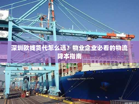 深圳欧线货代怎么选？物业企业必看的物流降本指南
