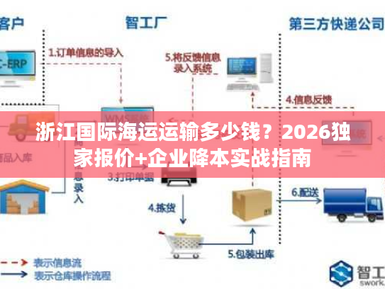 浙江国际海运运输多少钱？2026独家报价+企业降本实战指南