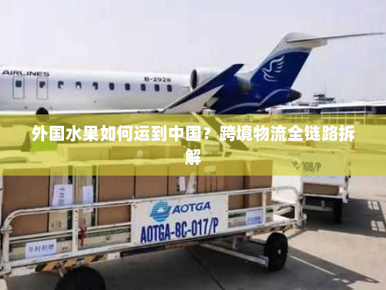 外国水果如何运到中国？跨境物流全链路拆解