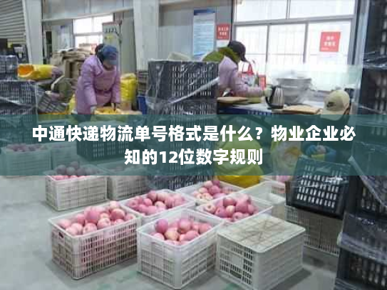 中通快递物流单号格式是什么?物业企业必知的12位数字规则 中通快递物流单号格式是什么?物业企业必知的12位数字规则