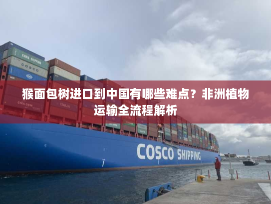 猴面包树进口到中国有哪些难点？非洲植物运输全流程解析