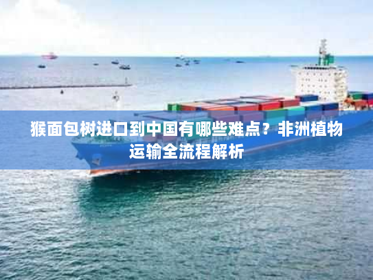 猴面包树进口到中国有哪些难点？非洲植物运输全流程解析