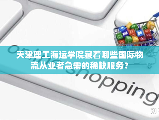 天津理工海运学院藏着哪些国际物流从业者急需的稀缺服务？