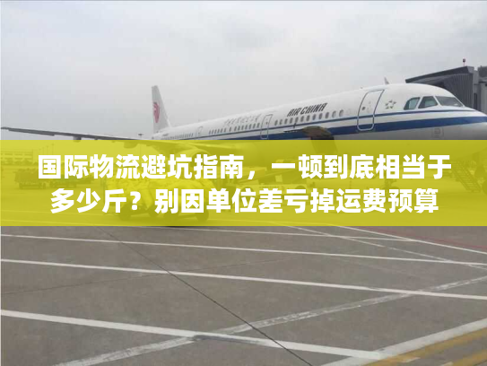 国际物流避坑指南，一顿到底相当于多少斤？别因单位差亏掉运费预算