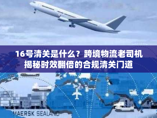 16号清关是什么？跨境物流老司机揭秘时效翻倍的合规清关门道
