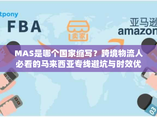 MAS是哪个国家缩写？跨境物流人必看的马来西亚专线避坑与时效优化指南