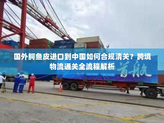 国外鳄鱼皮进口到中国如何合规清关?跨境物流通关全流程解析 国外鳄鱼皮进口到中国如何合规清关?跨境物流通关全流程解析