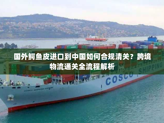 国外鳄鱼皮进口到中国如何合规清关?跨境物流通关全流程解析 国外鳄鱼皮进口到中国如何合规清关?跨境物流通关全流程解析