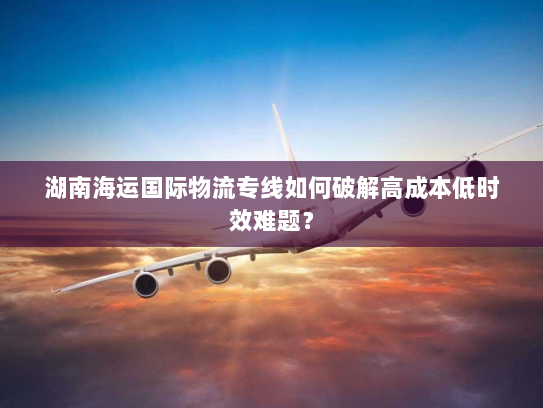湖南海运国际物流专线如何破解高成本低时效难题? 湖南海运国际物流专线如何破解高成本低时效难题?