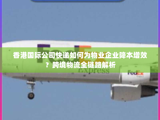 香港国际公司快递如何为物业企业降本增效？跨境物流全链路解析