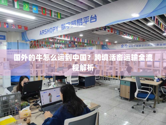 国外的牛怎么运到中国?跨境活畜运输全流程解析 国外的牛怎么运到中国?跨境活畜运输全流程解析
