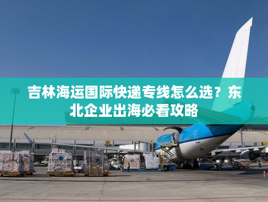 吉林海运国际快递专线怎么选？东北企业出海必看攻略