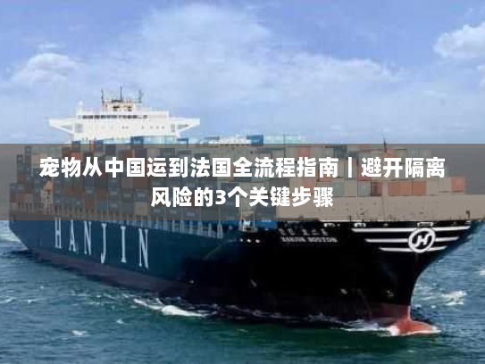 宠物从中国运到法国全流程指南|避开隔离风险的3个关键步骤 宠物从中国运到法国全流程指南|避开隔离风险的3个关键步骤