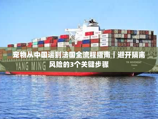 宠物从中国运到法国全流程指南｜避开隔离风险的3个关键步骤