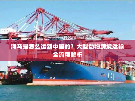 河马是怎么运到中国的？大型动物跨境运输全流程解析