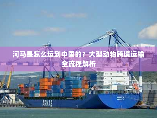 河马是怎么运到中国的？大型动物跨境运输全流程解析