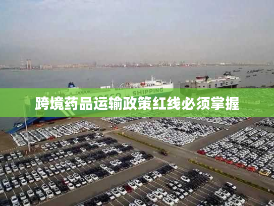 跨境药品运输政策红线必须掌握