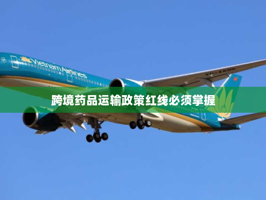 跨境药品运输政策红线必须掌握
