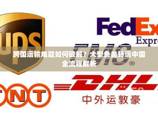 跨国运输难题如何破解？大型鱼类转运中国全流程解析