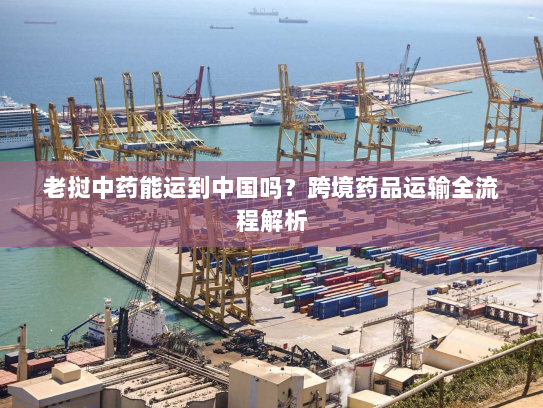 老挝中药能运到中国吗?跨境药品运输全流程解析 老挝中药能运到中国吗?跨境药品运输全流程解析