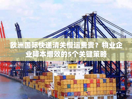 欧洲国际快递清关慢运费贵？物业企业降本增效的5个关键策略