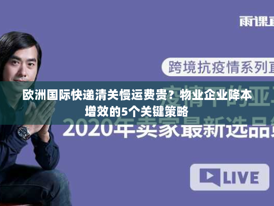 欧洲国际快递清关慢运费贵？物业企业降本增效的5个关键策略