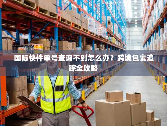 国际快件单号查询不到怎么办?跨境包裹追踪全攻略 国际快件单号查询不到怎么办?跨境包裹追踪全攻略