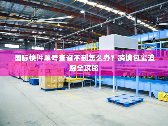 国际快件单号查询不到怎么办?跨境包裹追踪全攻略 国际快件单号查询不到怎么办?跨境包裹追踪全攻略