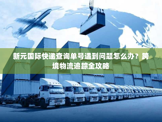 新元国际快递查询单号遇到问题怎么办?跨境物流追踪全攻略 新元国际快递查询单号遇到问题怎么办?跨境物流追踪全攻略