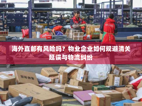 海外直邮有风险吗？物业企业如何规避清关延误与物流纠纷