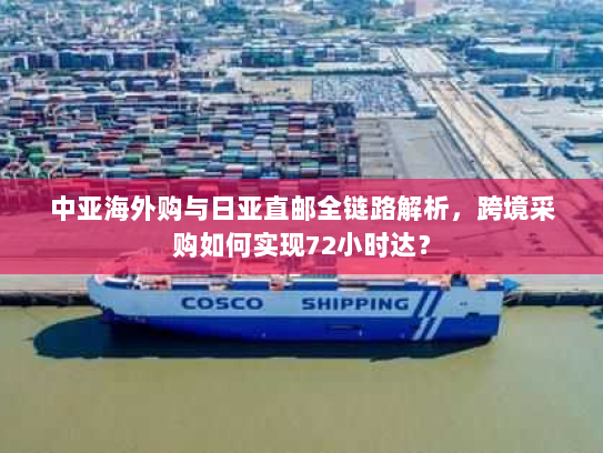 中亚海外购与日亚直邮全链路解析，跨境采购如何实现72小时达？