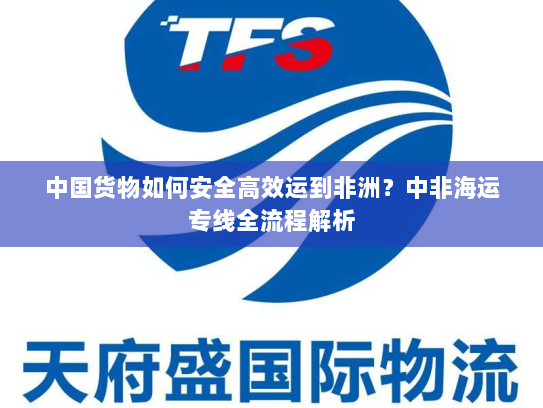 中国货物如何安全高效运到非洲?中非海运专线全流程解析 中国货物如何安全高效运到非洲?中非海运专线全流程解析