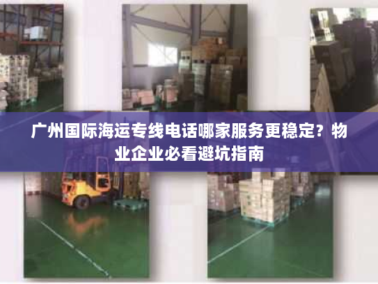 广州国际海运专线电话哪家服务更稳定?物业企业必看避坑指南 广州国际海运专线电话哪家服务更稳定?物业企业必看避坑指南