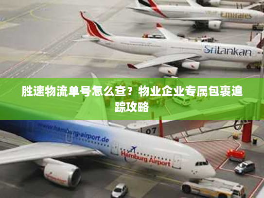 胜速物流单号怎么查?物业企业专属包裹追踪攻略 胜速物流单号怎么查?物业企业专属包裹追踪攻略